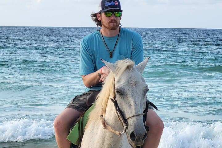 Explore Punta Cana: Jungle & Beach Horse Riding Adventure photo 3