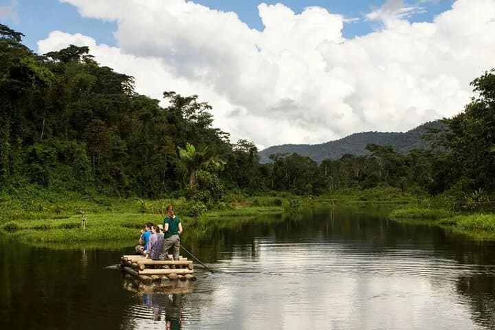 4-Day Manu National Park Amazon Expedition from Cusco photo 2