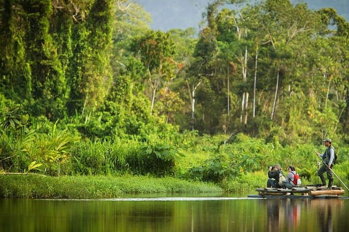 4-Day Manu National Park Amazon Expedition from Cusco photo 3