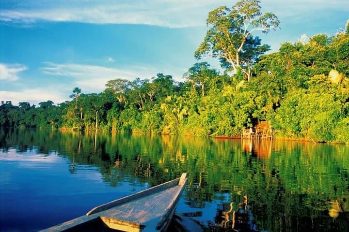 4-Day Manu National Park Amazon Expedition from Cusco photo 4