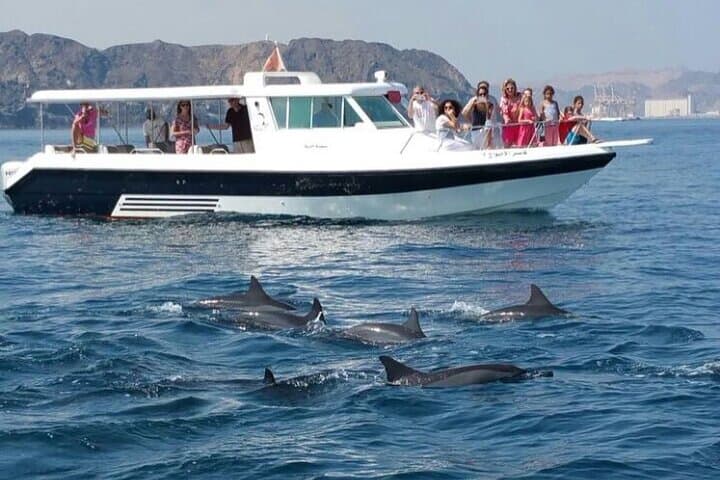 Muscat Dolphin Watching and Coastal Sightseeing — Half-Day Dolphin Cruise photo 2