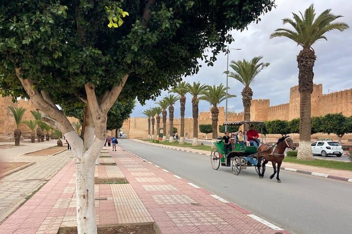 Day Trip from Agadir to Taroudant and Kasbah Tiout Oasis photo 2