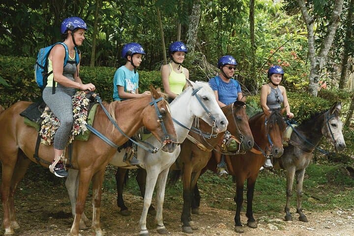 Samaná & Cayo Levantado: El Limón Waterfall Day Safari from Punta Cana photo 5