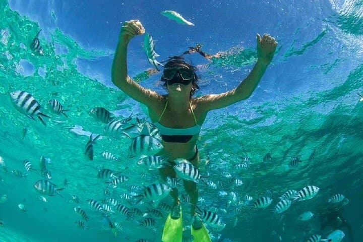 Muscat Omani Dhow Cruise & Snorkeling at Bandar al Kairan photo 2