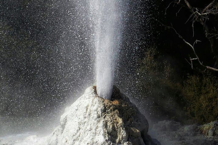 Rotorua Wai-O-Tapu and Secret Spot Hot Tubs: Geothermal Wonders and a Forest Soak photo 2
