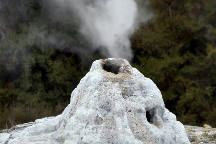 Rotorua Wai-O-Tapu and Secret Spot Hot Tubs: Geothermal Wonders and a Forest Soak photo 4
