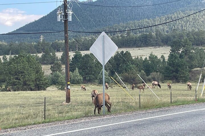 Scenic Rocky Mountain National Park Car Tour from Estes Park — 3-Hour Guided Drive photo 2