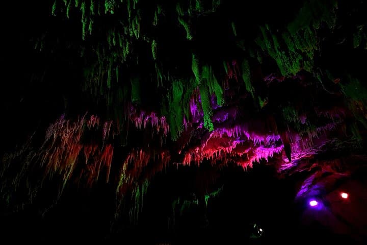 Wai-O-Tapu to Waitomo: Hot Tubs, Geothermal Wonders & Glowworm Caves Day Tour from Auckland photo 4