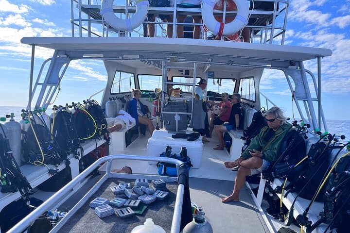 Great Blue Hole Belize: Full-Day Dive Adventure to 130 Feet with Half Moon Caye Lunch photo 3