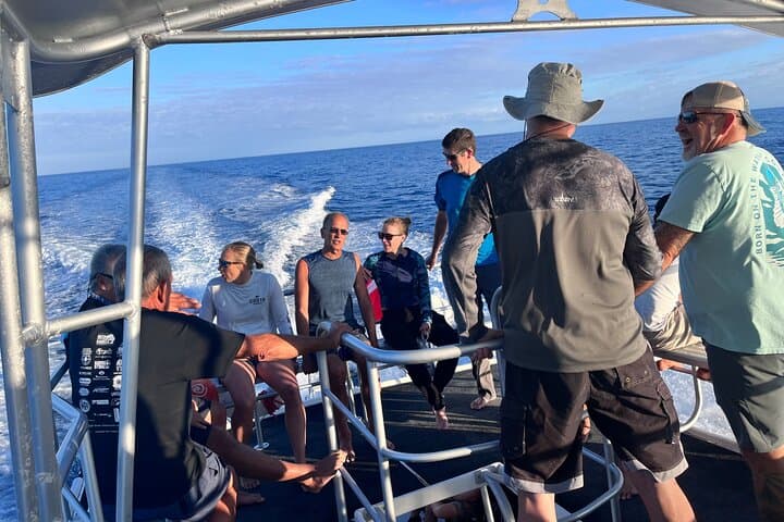 Great Blue Hole Belize: Full-Day Dive Adventure to 130 Feet with Half Moon Caye Lunch photo 4