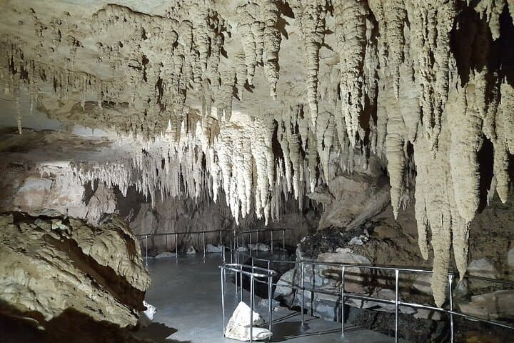 Two-Day Northland: Hole in the Rock Cruise, Waitangi Treaty Grounds & Waipu Glowworm Caves photo 6