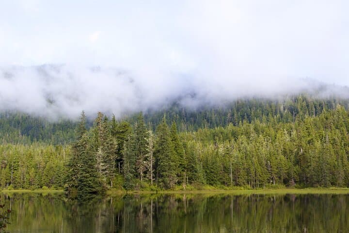 Guided Beaver Lake Hike in Sitka — Alaskan Wilderness Trail photo 4
