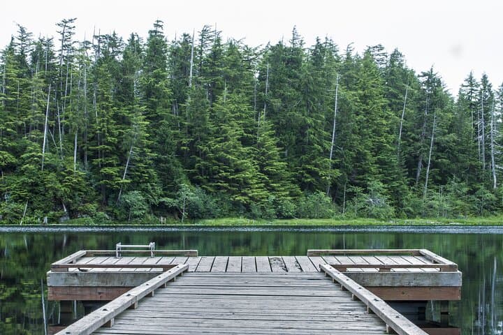 Guided Beaver Lake Hike in Sitka — Alaskan Wilderness Trail photo 6