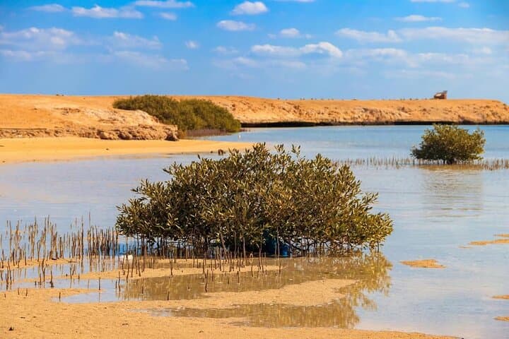 Ras Mohamed Half-Day Snorkel from Sharm El-Sheikh — Allah's Gate & Magic Lake photo 6