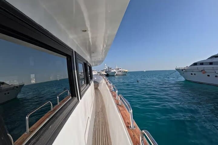 El Gouna Lagoon: Dolphin Diving, Snorkeling & Lunch on the Red Sea photo 6