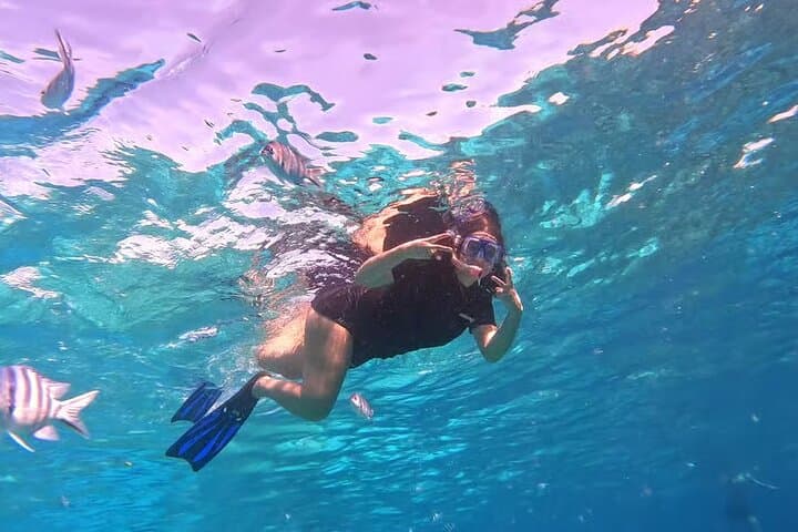 El Gouna Lagoon: Dolphin Diving, Snorkeling & Lunch on the Red Sea photo 2