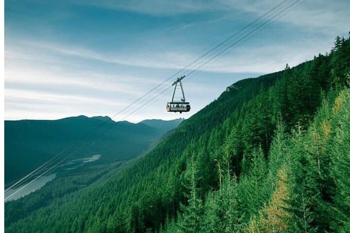Sea to Sky Gondola & Shannon Falls: Half‑Day Private Tour from Vancouver photo 5
