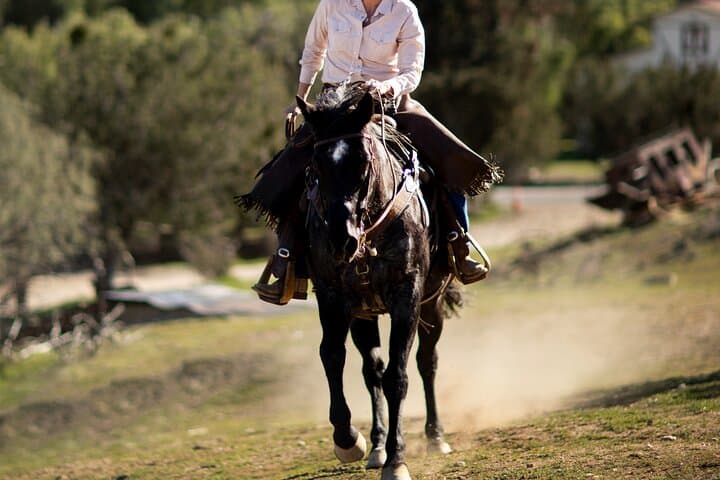 Atlas Mountains Horseback Riding Day Trip from Marrakech photo 3