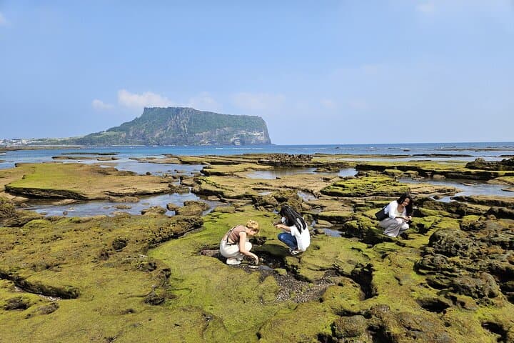 Full-Day Jeju Shore Excursion: UNESCO Highlights & Cultural Stops for Cruise Passengers photo 5