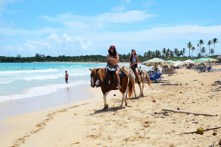 Explore Punta Cana: Jungle & Beach Horse Riding Adventure photo 4