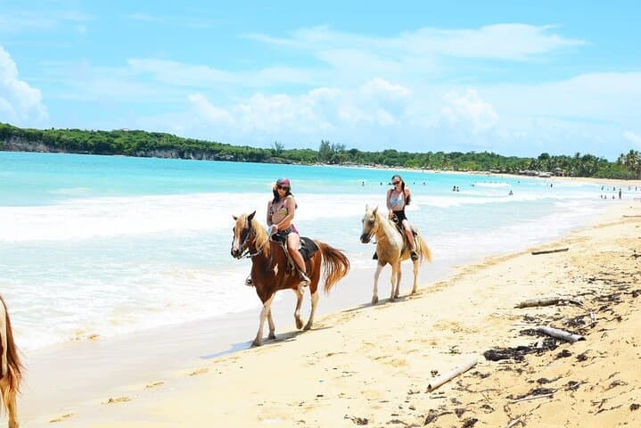 Explore Punta Cana: Jungle & Beach Horse Riding Adventure photo 6