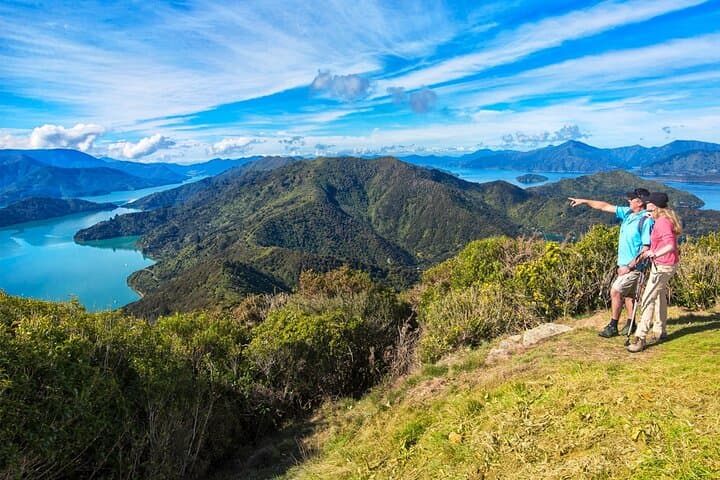Queen Charlotte Track: Self-Guided Hike to Eatwells Lookout photo 5