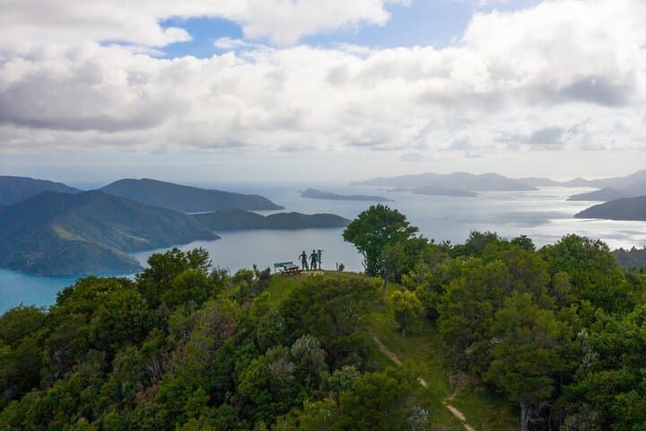 Queen Charlotte Track: Self-Guided Hike to Eatwells Lookout
