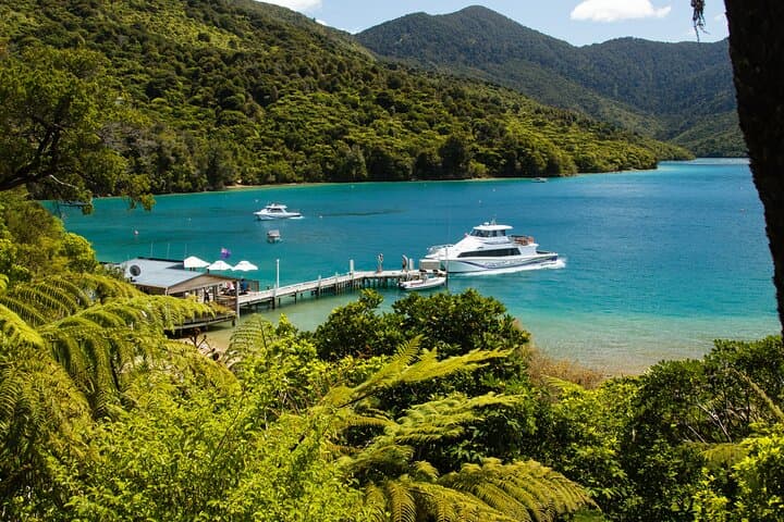 Queen Charlotte Track: Self-Guided Hike to Eatwells Lookout photo 4