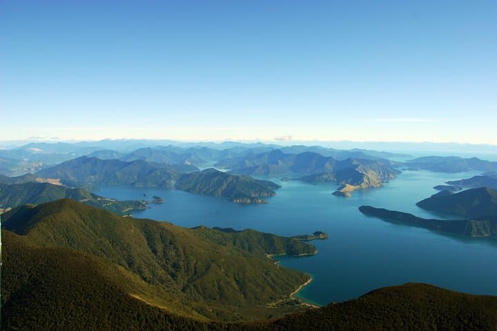 Queen Charlotte Sound Scenic Cruise from Picton — 2-Hour Shore Excursion photo 3