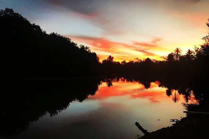 Kawa Kawa Fireflies Sunset Cruise — Kota Kinabalu River Safari & Night Firefly Viewing photo 4