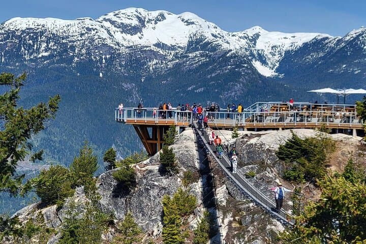 Sea to Sky Gondola & Shannon Falls: Half‑Day Private Tour from Vancouver photo 6