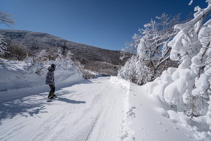 Kuju Forest Park Ski Resort Day Trip from Fukuoka — Beginner-Friendly Slopes & Shuttle photo 3