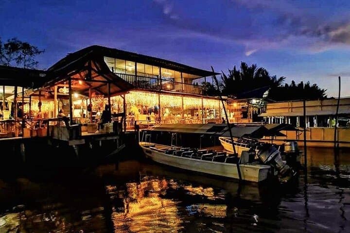 Sunset River Cruise to See Proboscis Monkeys and Fireflies at Weston Wetland photo 4