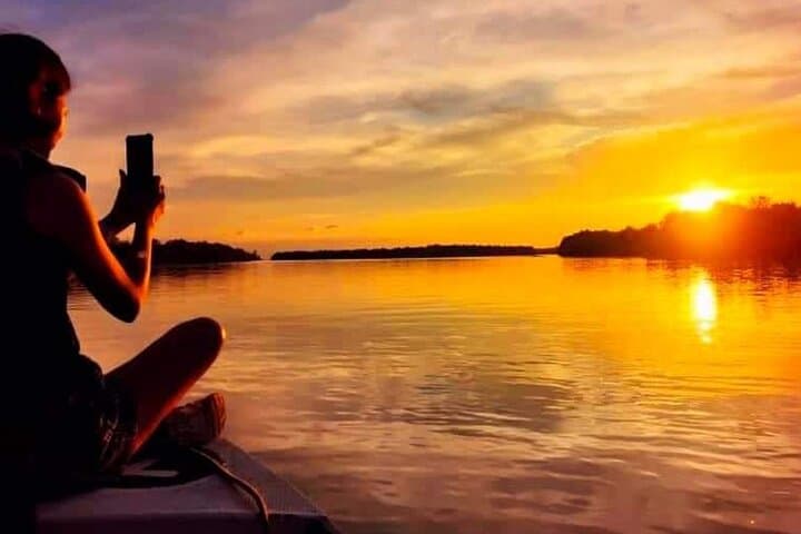 Sunset River Cruise to See Proboscis Monkeys and Fireflies at Weston Wetland