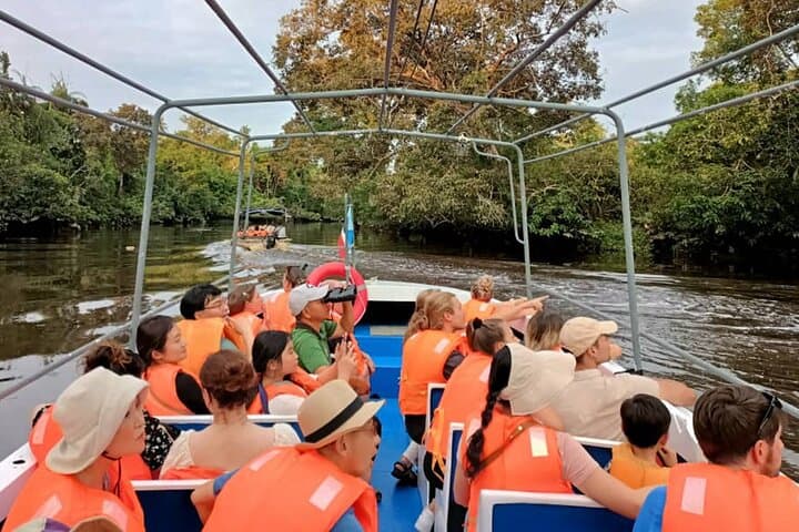 Klias River Firefly & Proboscis Monkey Cruise from Kota Kinabalu photo 6