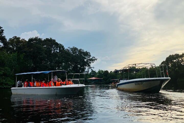 Klias River Firefly & Proboscis Monkey Cruise from Kota Kinabalu photo 5