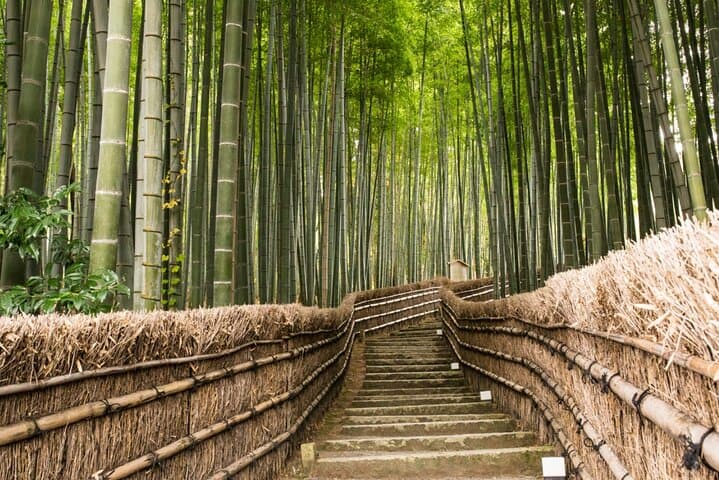 Private Kyoto Shore Excursion from Osaka & Kobe Port — Full-Day Custom Tour photo 3