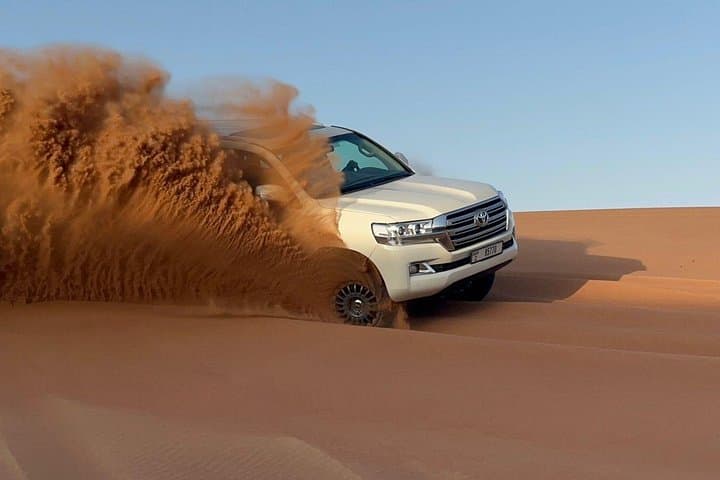 VIP Desert Safari and Self-Drive Buggy Adventure in Dubai Desert photo 3