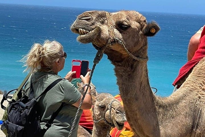 Seville to Morocco 4-Day Tangier, Chefchaouen & Tetouan Adventure photo 4