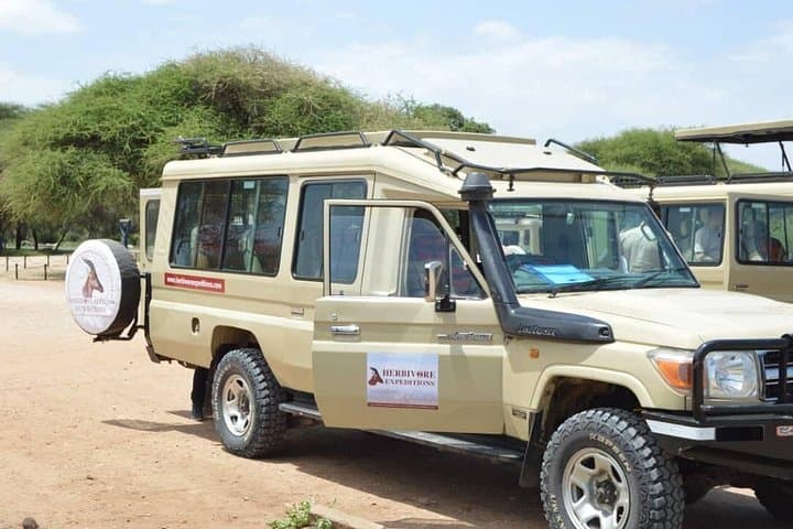 5-Day Fly-In Safari: Serengeti Great Migration & Mara River Crossings photo 4