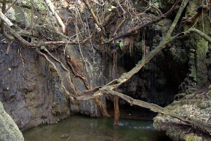 Akamas Peninsula Off-Road Adventure and Blue Lagoon Boat Trip photo 3