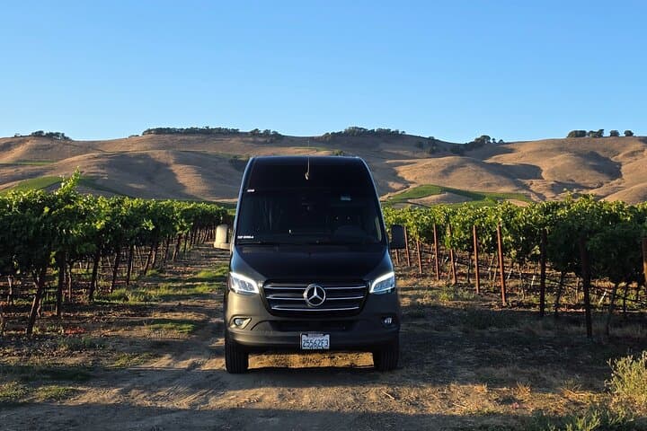 Private Napa Valley Wine Tour: Custom 5-Hour Van Tasting Experience photo 6