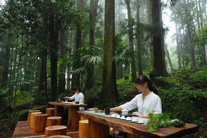 Alishan Day Trip: Fenqihu Bento, Ancient Cypress Trails & Sea of Clouds