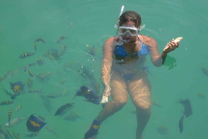 Musandam Khasab Dhow Cruise from Ras Al Khaimah — Full-Day Snorkel & Dolphin Watching photo 2