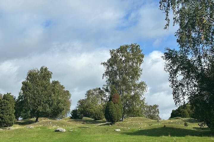 Archipelago Drive to Vaxholm: Private Day Trip from Stockholm photo 6