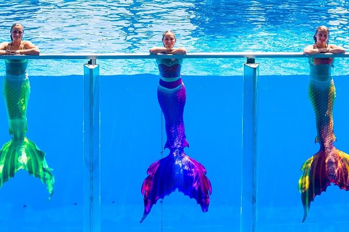 Dolusu Park Antalya: Waterpark Tickets, Slides, Wave Pool & Mermaid Shows photo 3