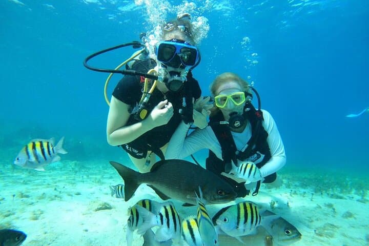 Cozumel Beginner Scuba Diving at Chankanaab Park — One-Tank Discovery Dive photo 2