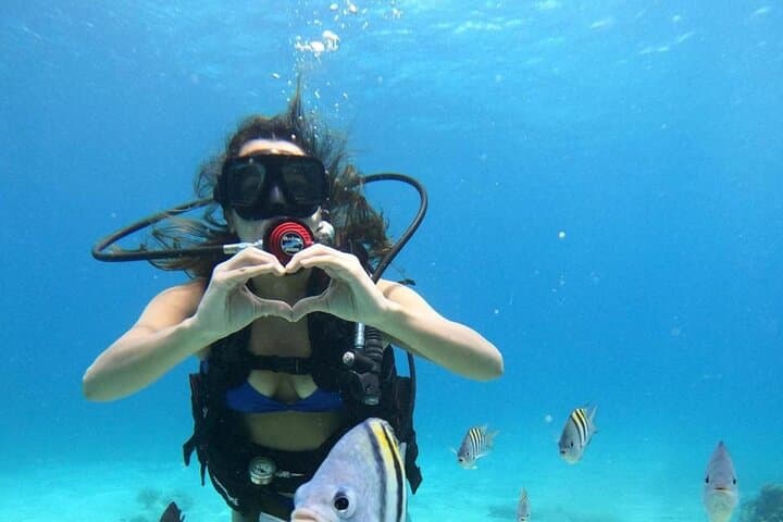 Cozumel Beginner Scuba Diving at Chankanaab Park — One-Tank Discovery Dive photo 6