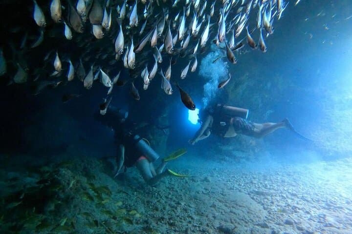 Cozumel Beginner Scuba Diving at Chankanaab Park — One-Tank Discovery Dive photo 3