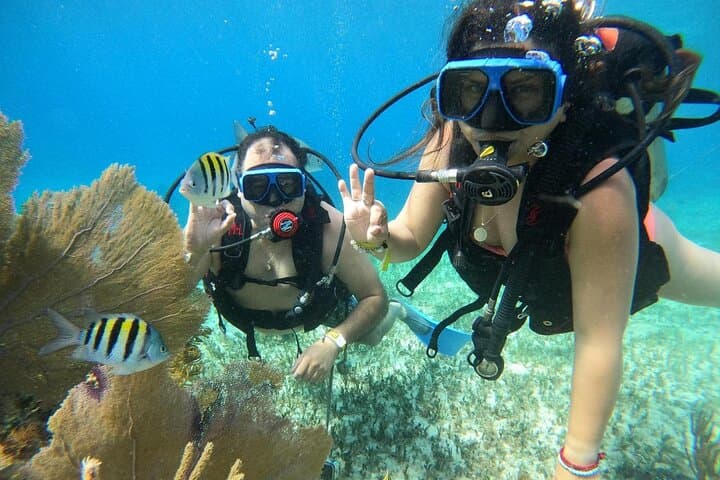 Cozumel Beginner Scuba Diving at Chankanaab Park — One-Tank Discovery Dive